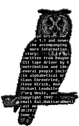 Eine Eule mit zwinkernden Augen